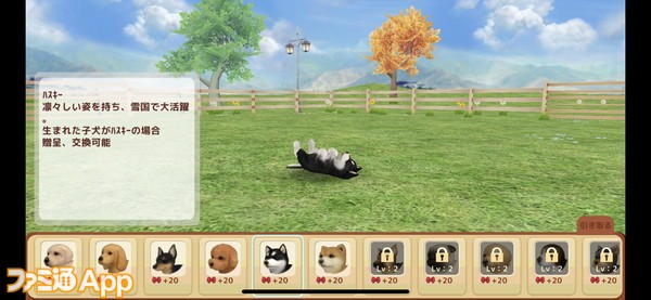 癒し 犬と戯れてワンだふるな自粛ライフを 犬育成 犬集めアプリ5選 ファミ通app