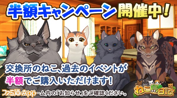 ねこ島日記_GW②半額キャンペーン