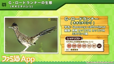 けものフレンズ3 わくわくどきどき探検レポート 05まとめ ファミ通app