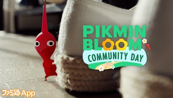 pikublogcomday01
