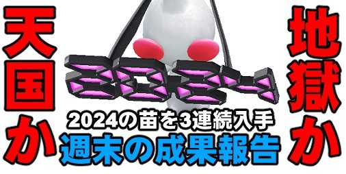 Pikmin Bloom 2024 Glasses Deco Event: Will You Complete Them All?